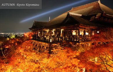 AUTUMN Kiyomizu Temple in the Kyoto Japan
