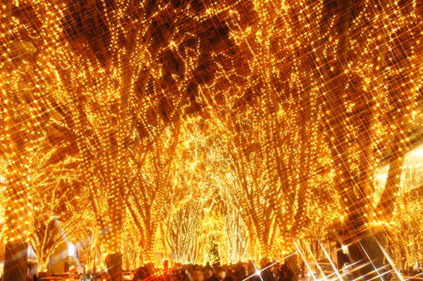 Japan Winter - Pageant of light in the Sendai Japan